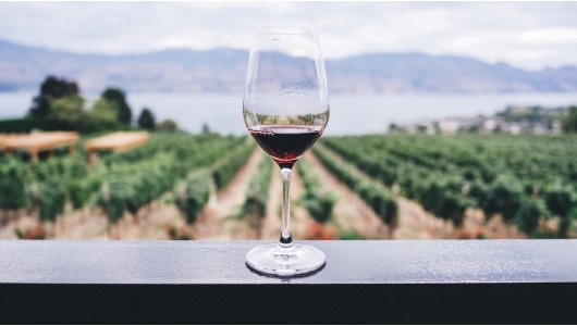 Vinitaly 2022, el gran regreso