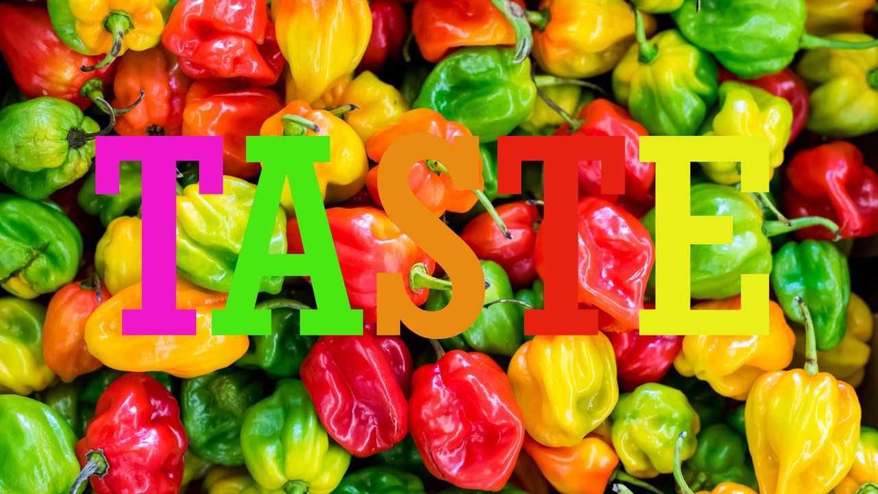 A Firenze torna il Pitti Taste 2022 alla Fortezza da Basso A Firenze torna il Pitti Taste 2022 alla Fortezza da Basso