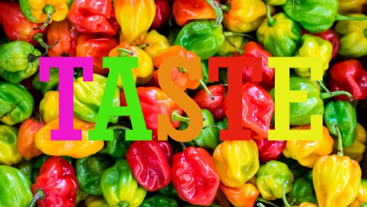 A Firenze torna il Pitti Taste 2022 alla Fortezza da Basso