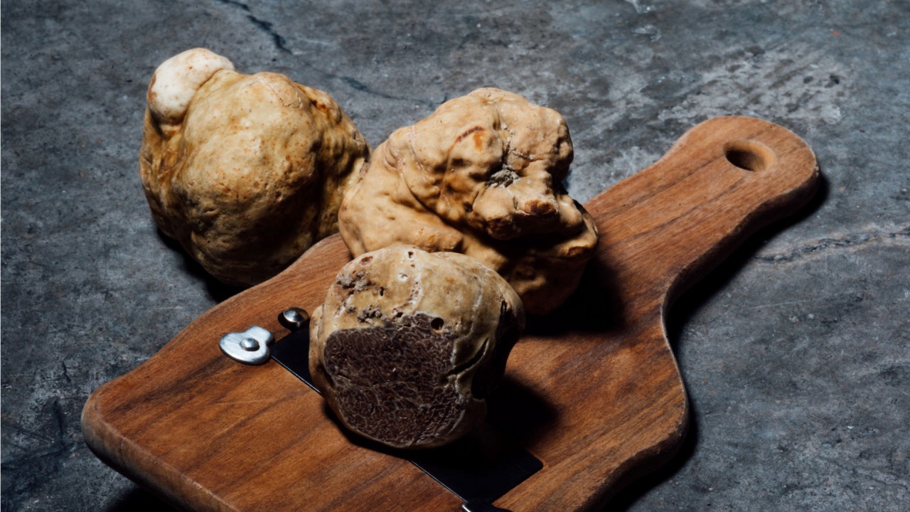 All the types of truffles you might not know about