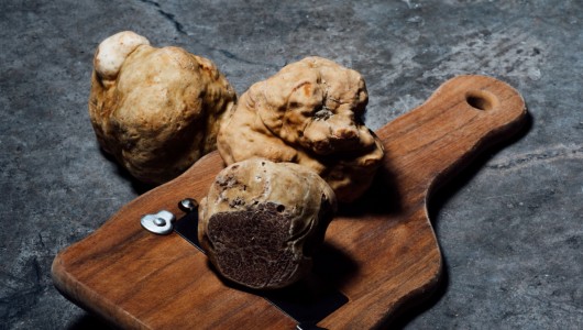 Tous les types de truffes que vous ne connaissez peut-être pas