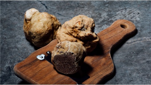 Todos los tipos de trufas que quizá no conozca