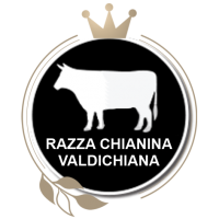 Chianina 
