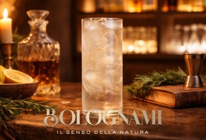 Christmas Fizz Cocktail