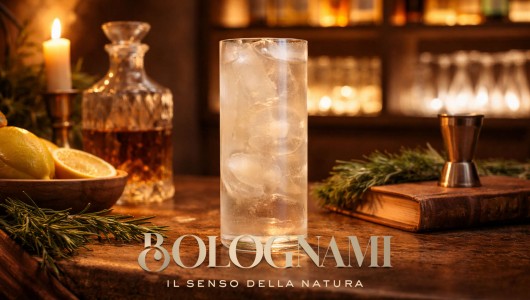 Cocktail Christmas Fizz