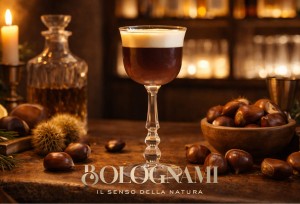 Manhattan Cocktail Bolognami