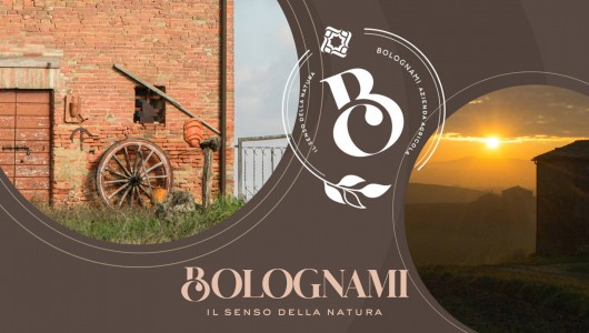 Il Mistero del Gusto: Segreti tra Umbria e Toscana