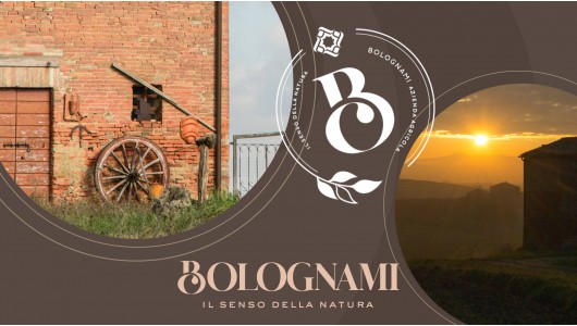 El Misterio del Sabor: Secretos entre Umbría y Toscana
