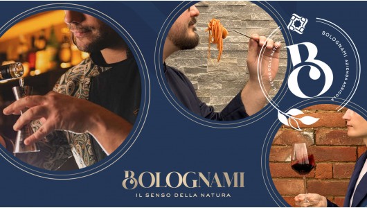 Adéntrate en un Viaje Gastronómico y Vinícola Increíble