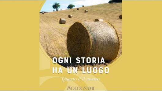 The Story of Bolognami First Chapter