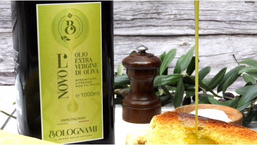 Nuevo Aceite de Oliva Virgen Extra de Umbría 2024, ¡Un Néctar de Oro Todo por Descubrir!