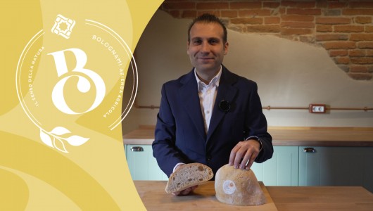 Pane Toscano D.O.P. Grande Qualità