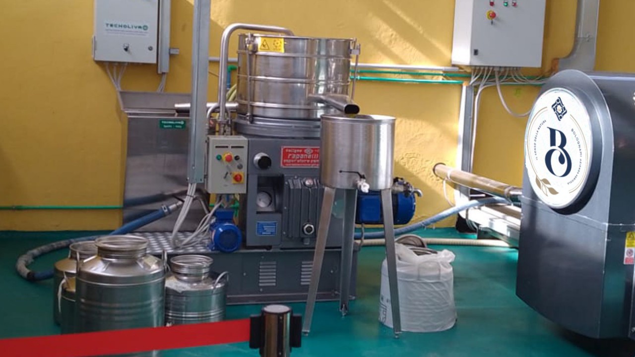 Olio di Oliva Extra Vergine Nuovo 2023