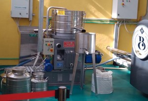 Olio di Oliva Extra Vergine Nuovo 2023