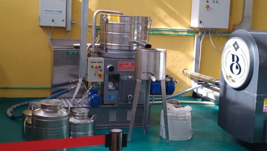 Olio di Oliva Extra Vergine Nuovo 2023