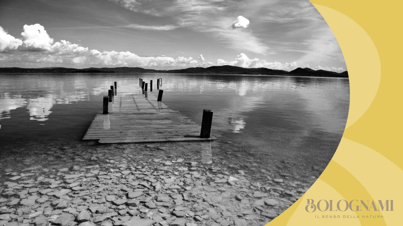 La Storia di Bolognami Capitolo Sesto Castiglione del Lago