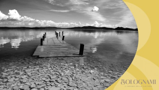 La Storia di Bolognami Capitolo Sesto Castiglione del Lago