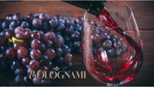 Vinos Italianos de alta calidad de Toscana y Umbría