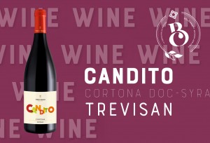 Candito Cortona D.O.C. Cantina Eredi Trevisan