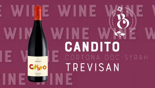Candito Cortona D.O.C. de la Bodega Trevisan
