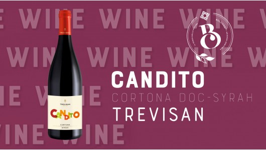 Candito Cortona D.O.C. Cantina Eredi Trevisan