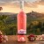 Rosato Terre de La Custodia