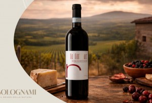 Rosso di Montalcino D.O.C. La Fornace