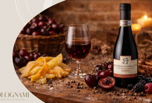 Sagrantino di Montefalco Passito Biologico DOCG Antonelli