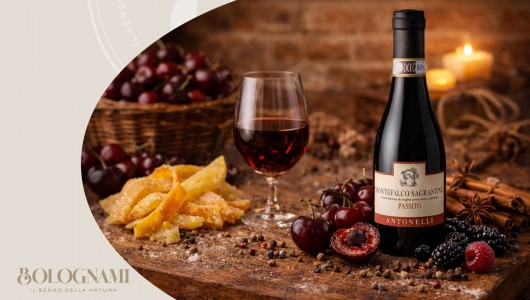 Sagrantino di Montefalco Passito Biologico DOCG Antonelli