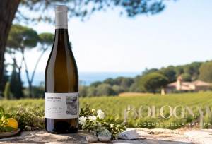 Vermentino D.O.C. Le Pinete Dario Di Vaira