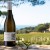 Vermentino D.O.C. Le Pinete Dario Di Vaira