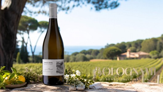 Vermentino D.O.C. Le Pinete Dario Di Vaira
