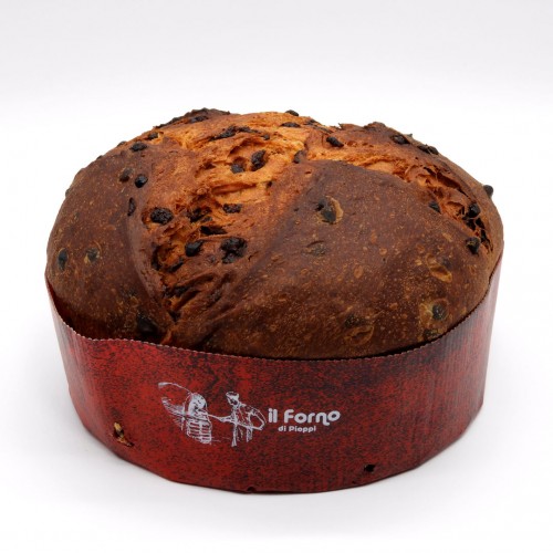 Panettone Artigianale al Cioccolato Il Forno di Pioppi