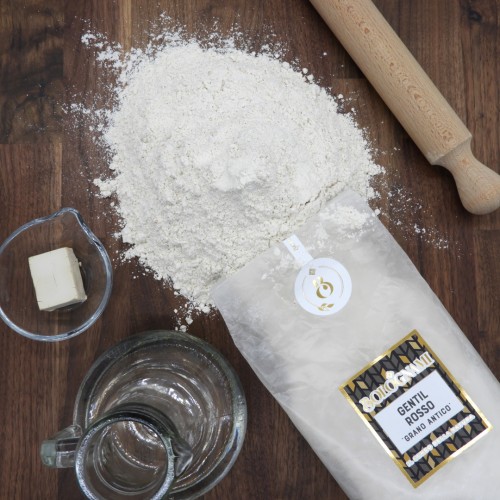 Farina di Grano Antico Gentil Rosso Bolognami