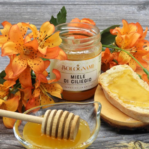 Miel de Cereza Bolognami 