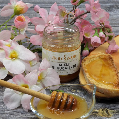 Miel de Eucalipto de Bolognami 