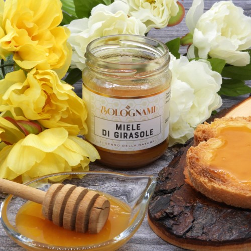 Miel de Girasol Bolognami 