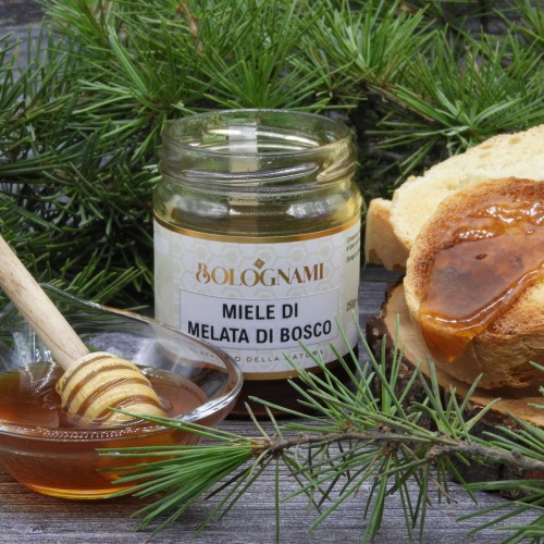 Miel de Mielada del Bosque Bolognami
