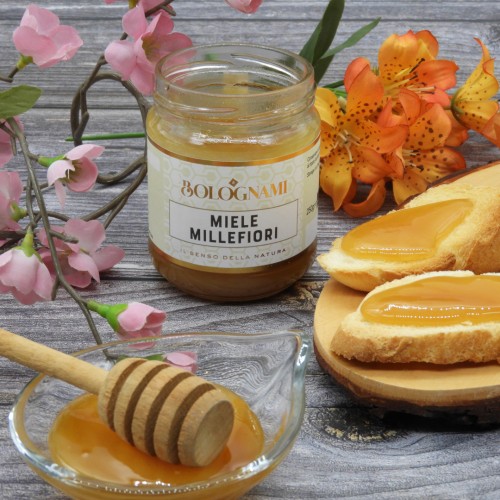 Miel Mil Flores de Bolognami 