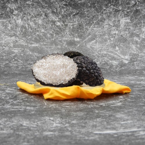 Tartufo Fresco Nero Estivo Bolognami 30 Gr a 100 Gr