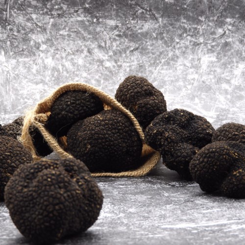 Tartufo Fresco Nero Estivo Bolognami 30 Gr a 100 Gr