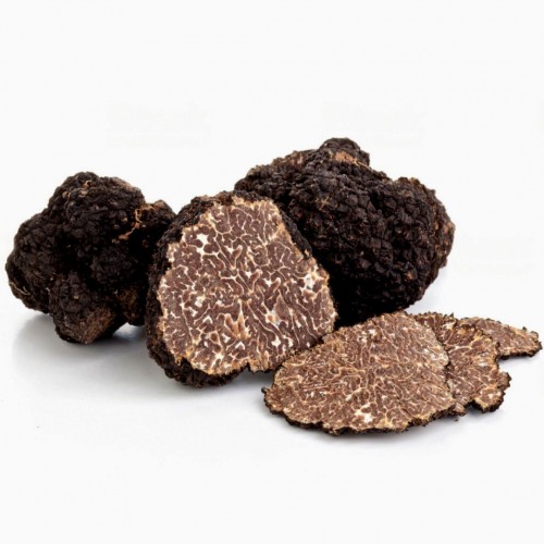 Tartufo Fresco Nero Uncinato Bolognami 20 Gr a 100 Gr