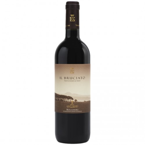 Il Bruciato Guado al Tasso Antinori 2021