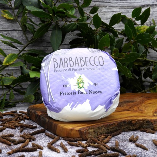 Pecorino di Pienza a Crosta Fiorita Barbabecco Fattoria Buca Nuova