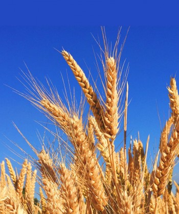 Catalogo Punti Fedeltà