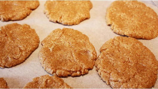 Galletas De Avena Bolognami
